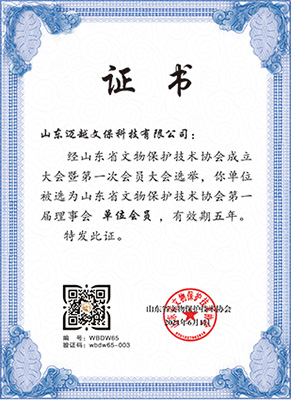 山東省文物保護技術(shù)協(xié)會單位會員
